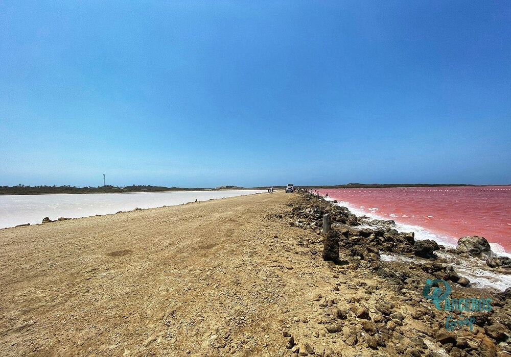 TOUR AL MAR ROSA y VOLCÁN DEL TOTUMO