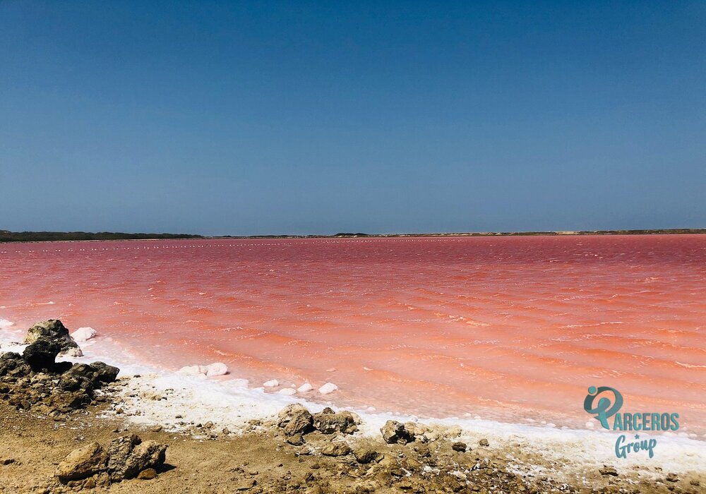 TOUR AL MAR ROSA y VOLCÁN DEL TOTUMO