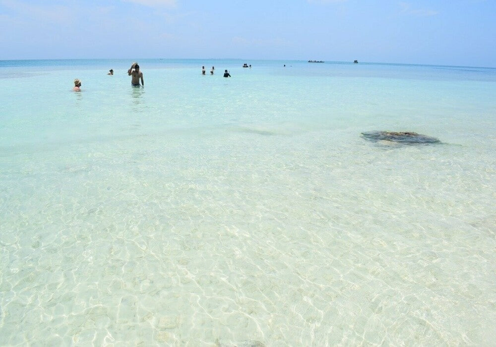 TOUR A ISLA MUCURA (Miercoles, Sabados y Domingos)