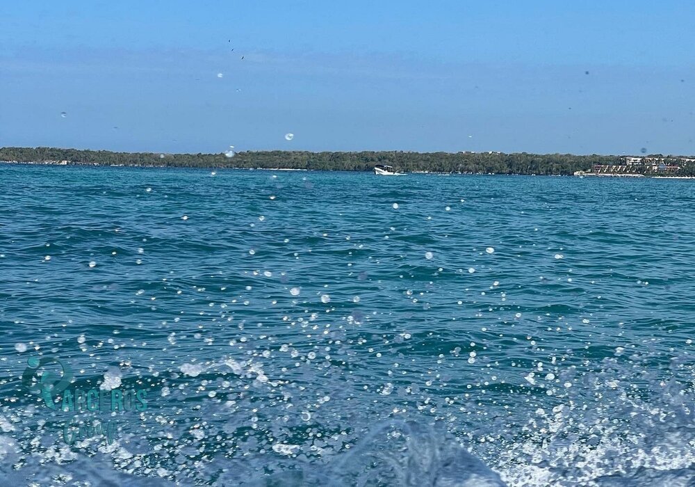 Tours por las Islas del Rosario