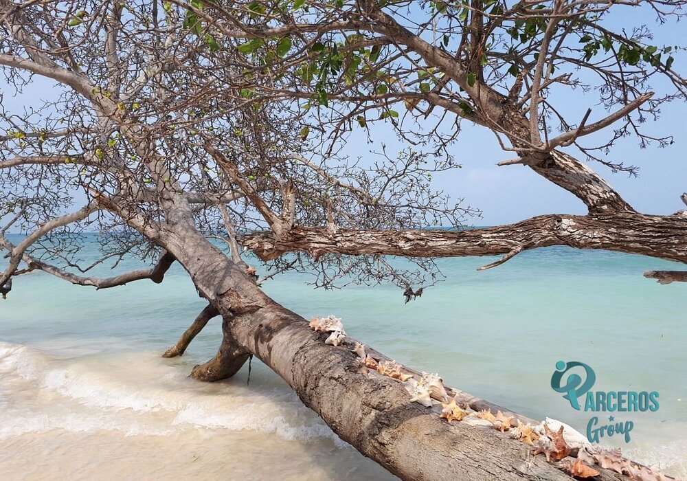 TOUR A ISLA MUCURA (Miercoles, Sabados y Domingos)