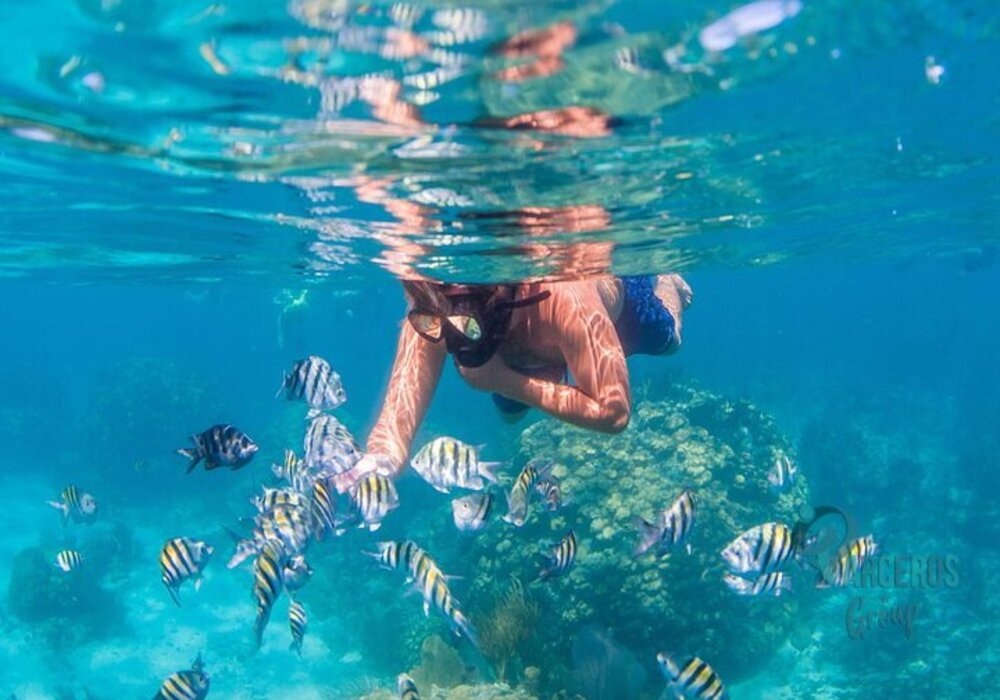 ROSARIO ISLANDS TOUR (BY BOAT)