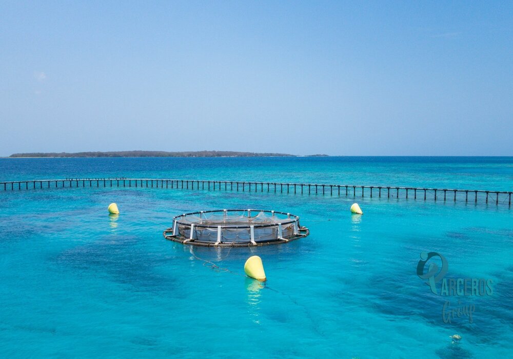 Tours por las Islas del Rosario