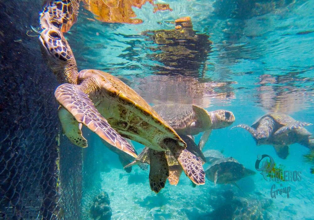 Tours por las Islas del Rosario