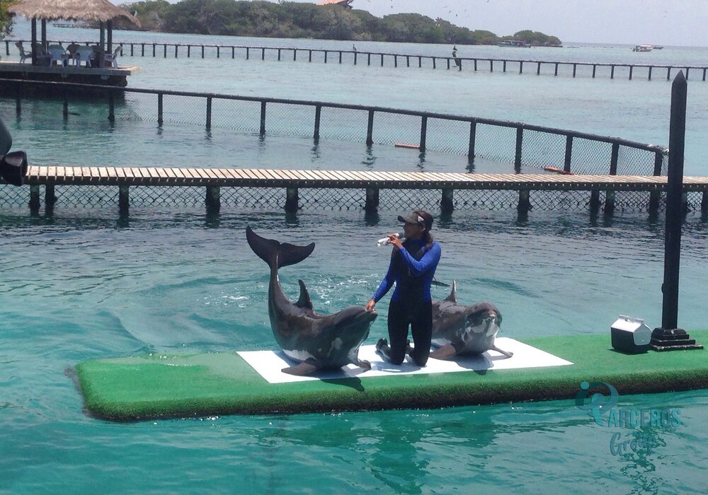 ROSARIO ISLANDS TOUR (BY BOAT)