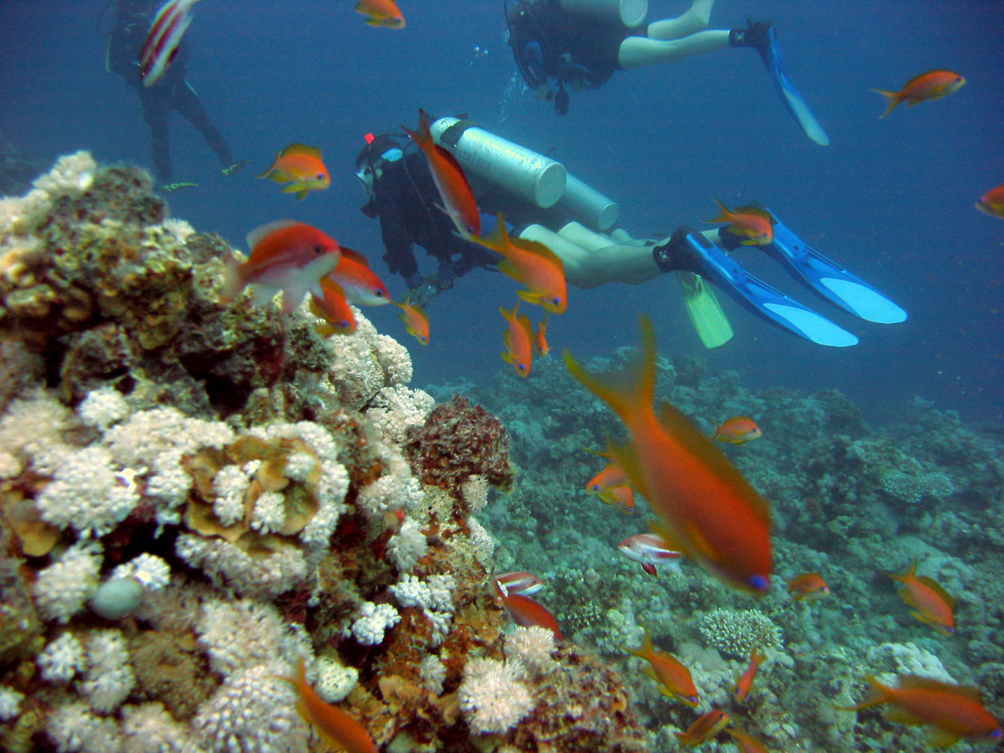 MAGIC AQUARIUM TOUR SAN ANDRES