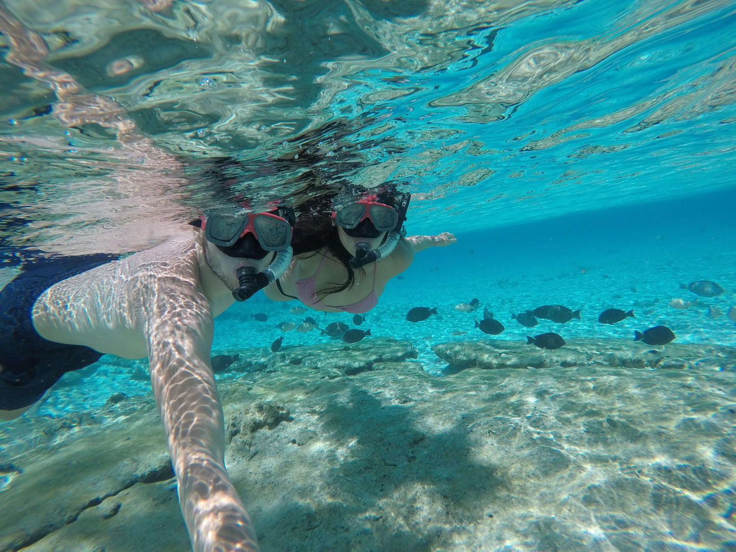 MAGIC AQUARIUM TOUR SAN ANDRES