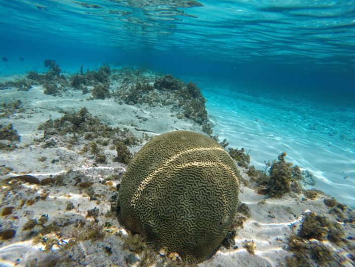 MAGIC AQUARIUM TOUR SAN ANDRES