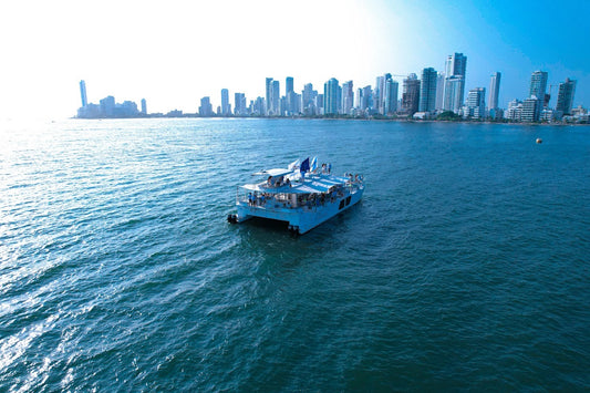 ATARDECER EN CATAMARÁN FLAMANTE VIP-10