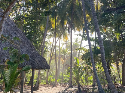 BURITACA SANTA MARTA TOUR