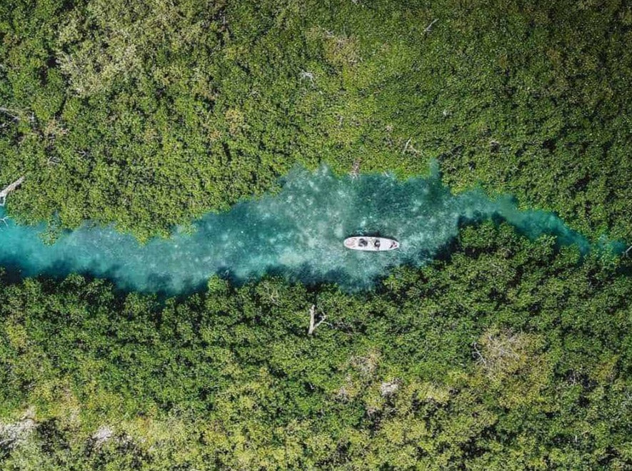 CANCUN JUNGLE TOUR BY SPEEDBOAT CANCUN