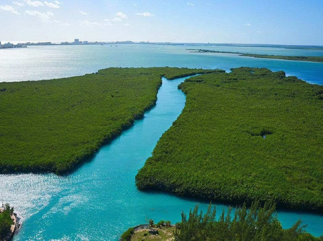 CANCUN JUNGLE TOUR BY SPEEDBOAT CANCUN