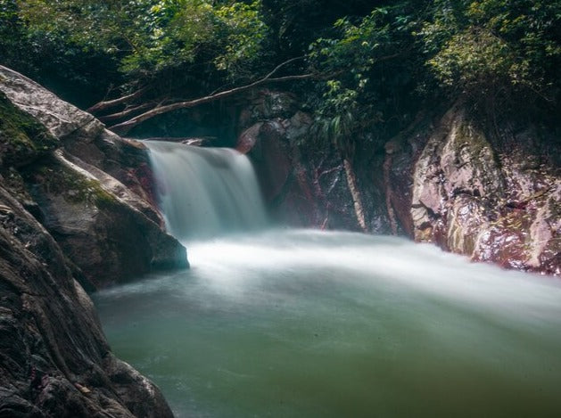 TOUR MINCA Y TAGANGA SANTA MARTA