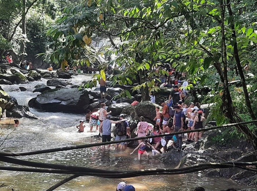 TOUR MINCA Y TAGANGA SANTA MARTA