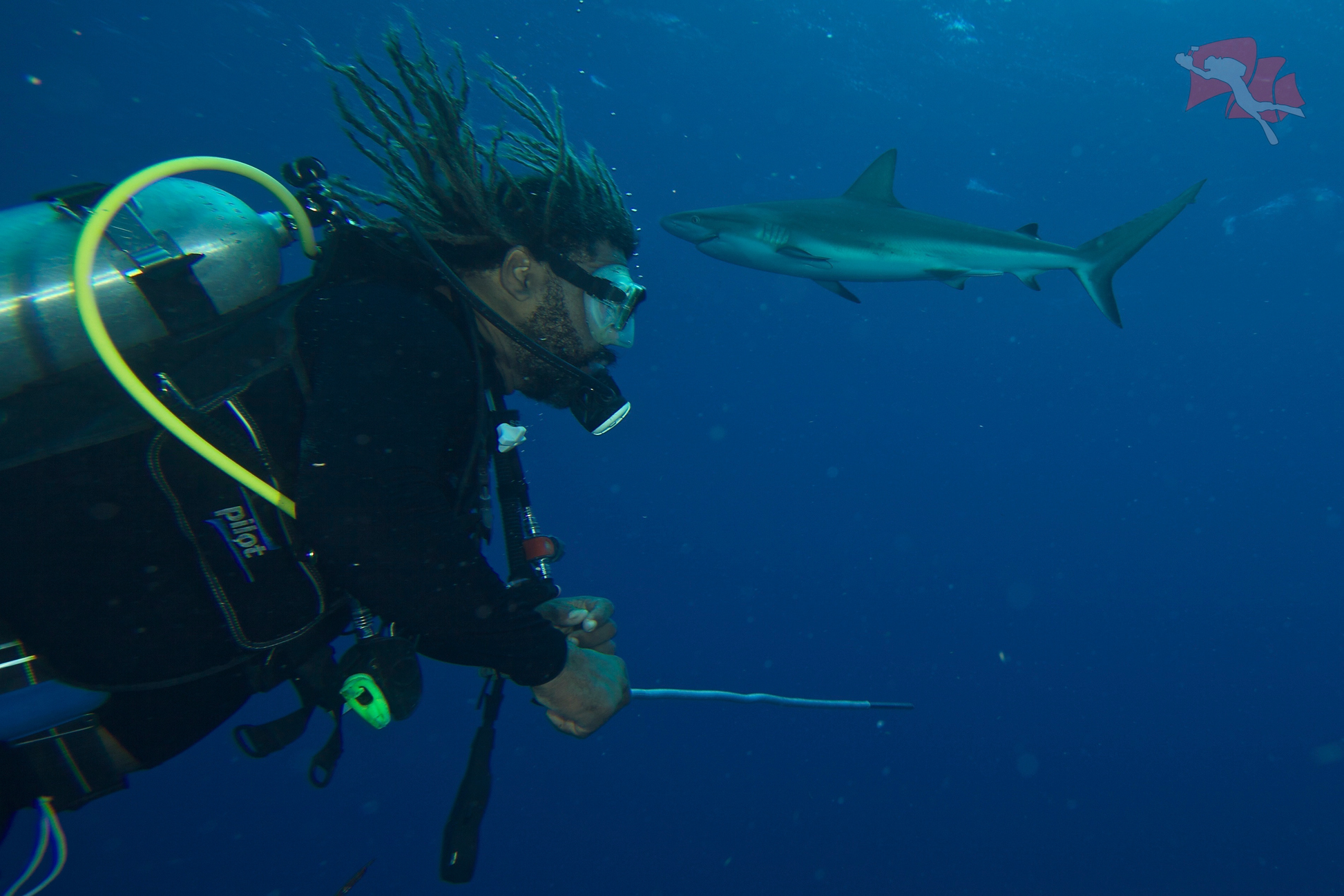 MINI CURSO DE BUCEO EN CARTAGENA