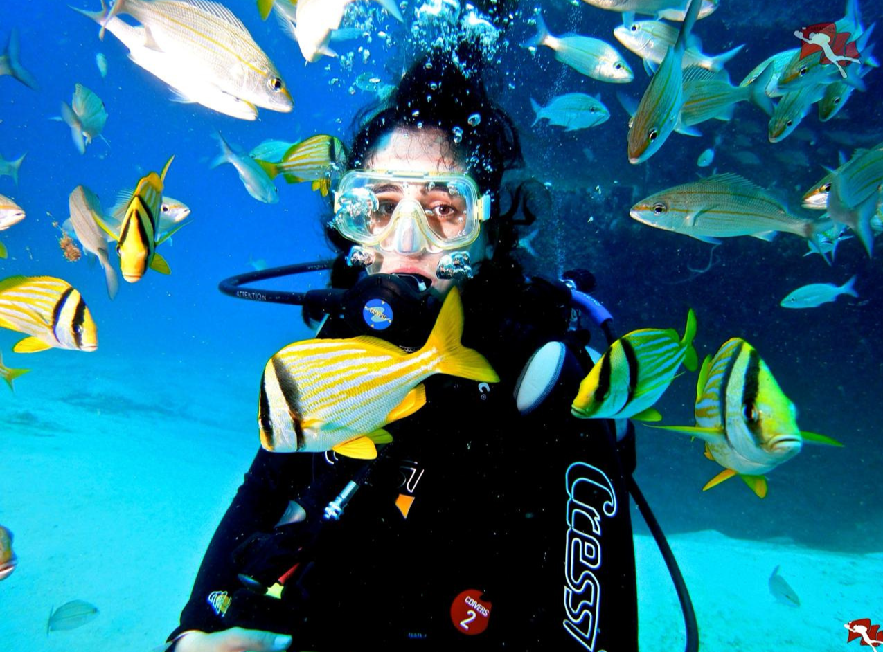 MINI CURSO DE BUCEO EN CARTAGENA
