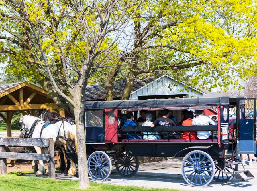 PHILADELPHIA AND AMISH COMMUNITY TOUR