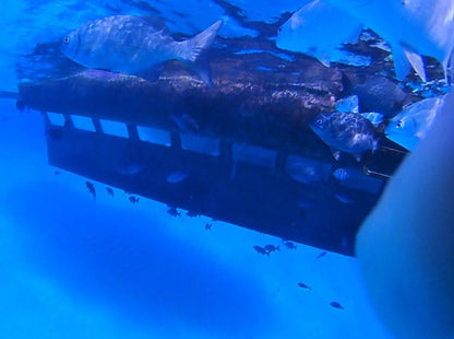 SEMI SUBMARINO NAUTILUS 