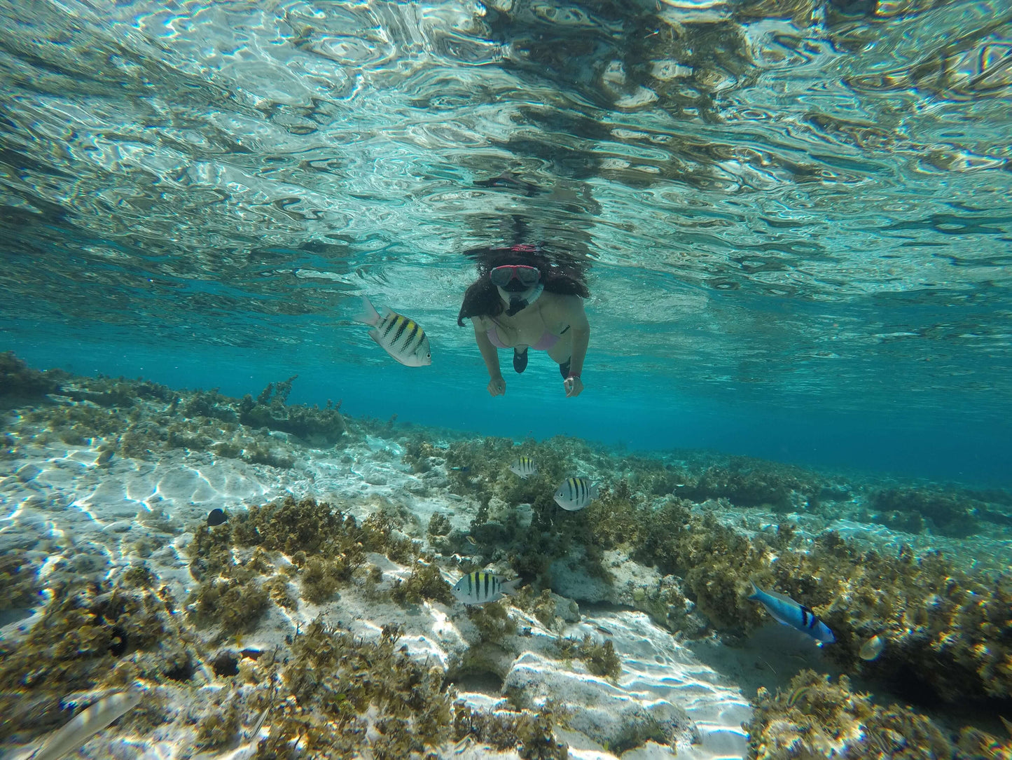 TOUR SNORKELING SAN ANDRES