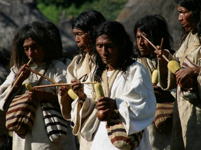 PALOMINO, PUEBLO KOGUI Y SEWIAKA