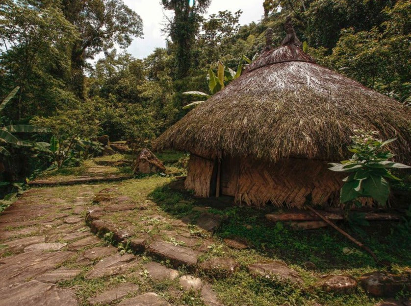 PALOMINO, PUEBLO KOGUI Y SEWIAKA