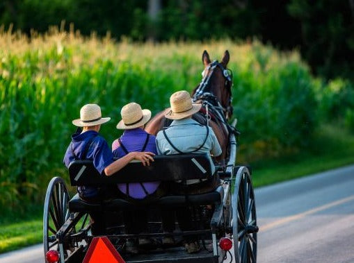 PHILADELPHIA AND AMISH COMMUNITY TOUR