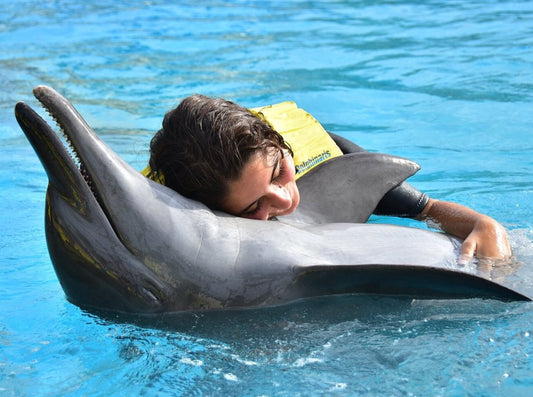 INTERACTION WITH DOLPHINS AND VENTURA PARK CANCUN