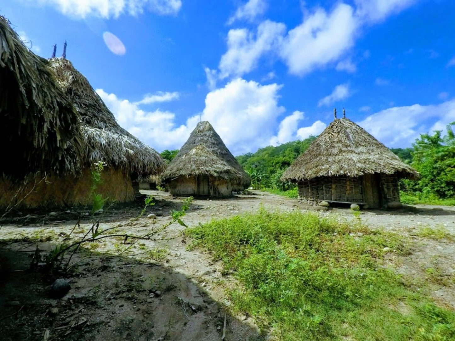 PALOMINO, PUEBLO KOGUI Y SEWIAKA