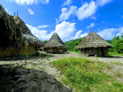 PALOMINO, PUEBLO KOGUI Y SEWIAKA
