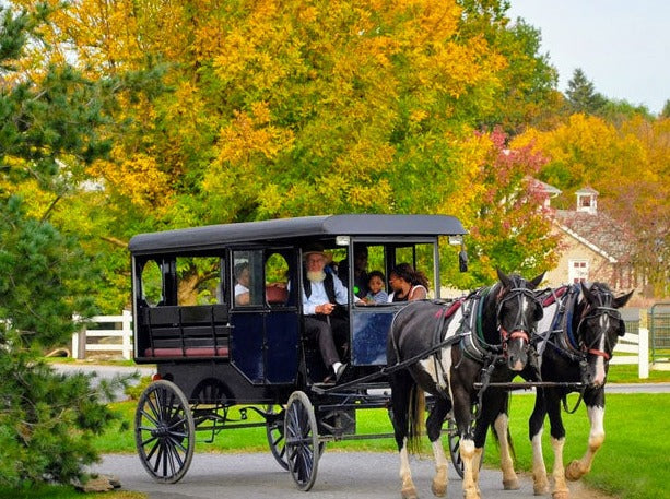 PHILADELPHIA AND AMISH COMMUNITY TOUR