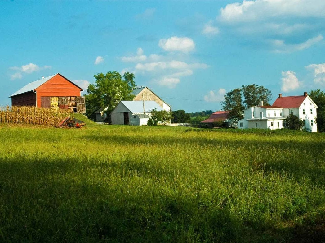 PHILADELPHIA AND AMISH COMMUNITY TOUR