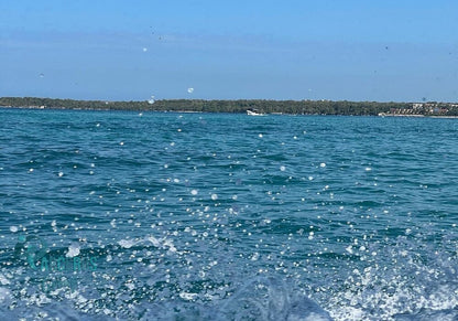 Tours por las Islas del Rosario